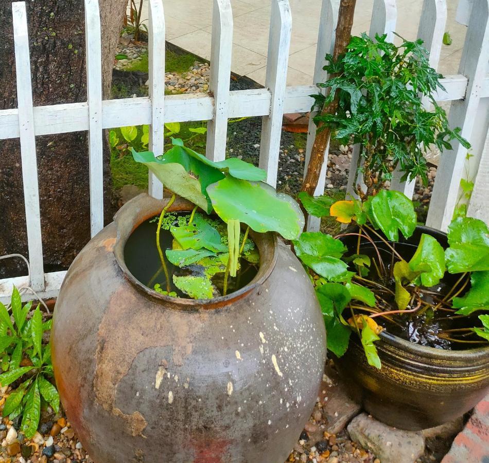 Lotus Corner - Heritage B&B 琅勃拉邦 外观 照片